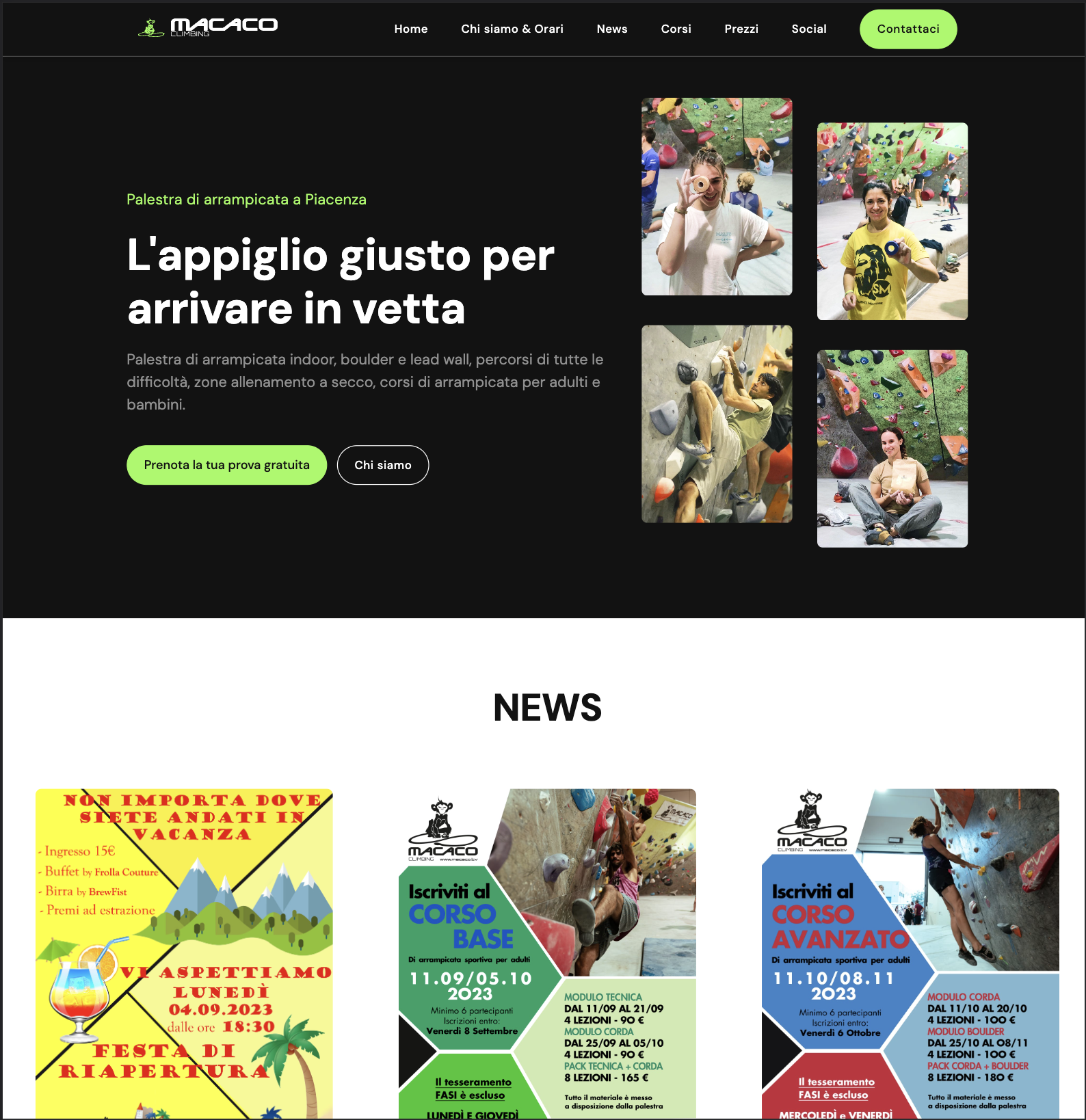 Immagine sito web macaco